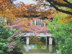 -杭州西子湖四季酒店-WL BISTRO西湖餐厅(灵隐路店)