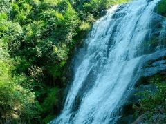 -大奇山国家森林公园