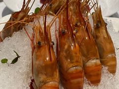 -南麓·浙里(外滩店)
