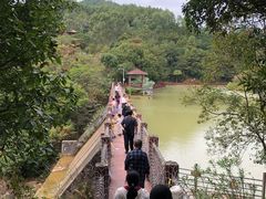 -广州白江湖森林公园