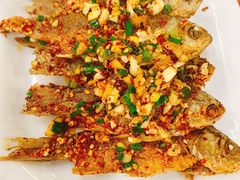 -张氏父子常德肠子馆(红星总店)