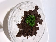 -爱丽丝牛排西餐厅(光谷步行街店)