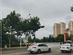 -山东外贸职业学院