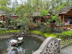 -青城甲(青城山店)