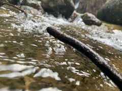 景点-宁波五龙潭景区