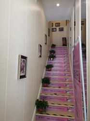 -静博士·养生养颜