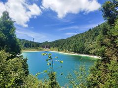 -武陵山森林公园