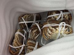 -蟹天蟹地农家菜·阳澄湖大闸蟹(浅水湾店)