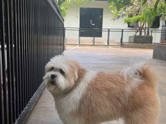 -TrueLove @ Neverland (Husky Cafe)