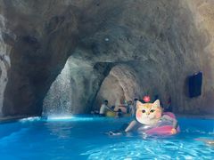 -太阳岛沙滩泳场水上乐园