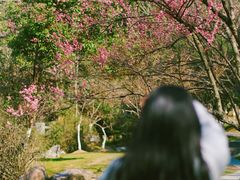 -峙山公园