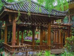 -山大王菌莊