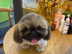 -萌兽医馆·眼科·异宠专科(三里屯店)
