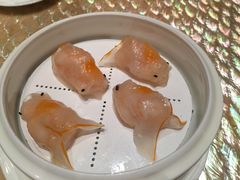 蓝天使虾金鱼饺-8餐厅(新葡京酒店)