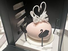 -BLACKSWAN黑天鹅(环球店)