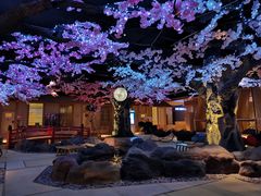 -蓝鲸湾汤泉(包河店)