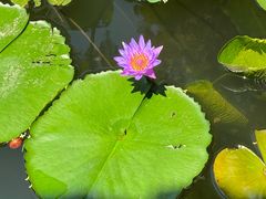 -浙江西子宾馆·瑶园咖啡厅