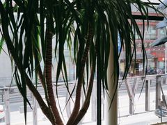 -惠友大虾(太原北街店)