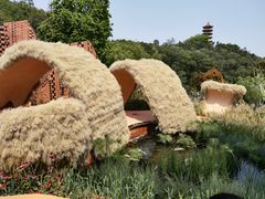 -深圳市中科院仙湖植物园