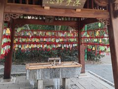 -无锡梅园公园
