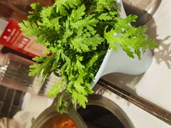 -老马路串串香火锅(北门桥店)