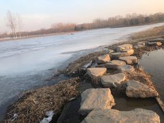 -大兴滨河森林公园