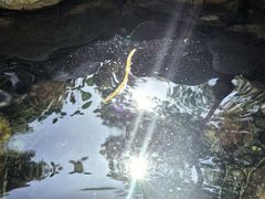 -三亚海棠湾南田温泉神龙谷