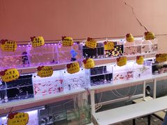 -中环花鸟鱼虫市场