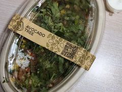 -油梨树AVOCADO TREE(嘉里中心店)