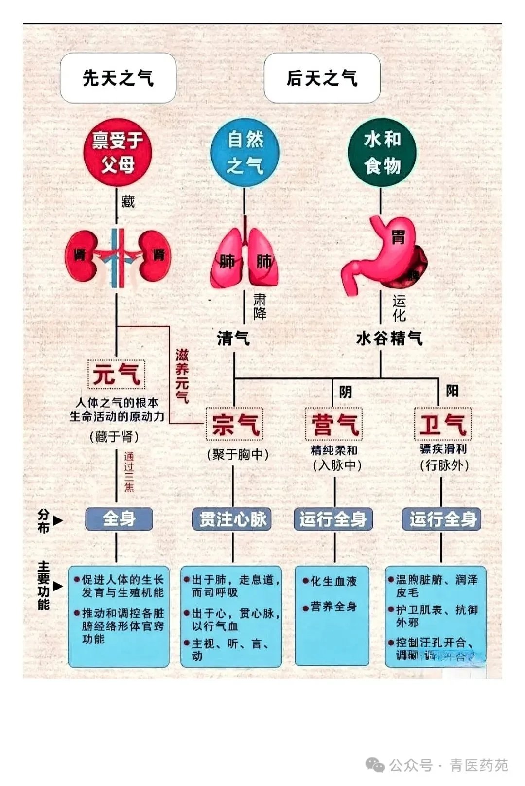 水谷之气图片