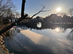 -无锡蠡湖国家湿地公园-蠡园