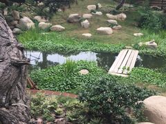 -得丘礼享谷·玉兰苑