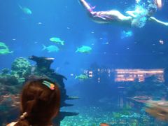 -海棠湾洲际-涛·海底餐厅·美人鱼·自助餐·海底隧道
