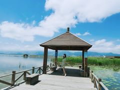 -哈素海