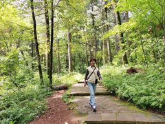 -五营红松林海景区