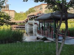 -西海子公园