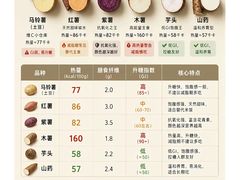-烟台市博物馆
