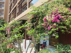 -三亚亚龙湾红树林度假酒店