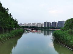 -南翔镇银翔湖公园