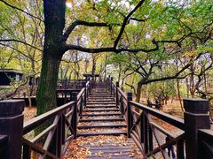 -虞山风景区