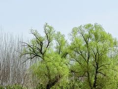 -东郊湿地公园