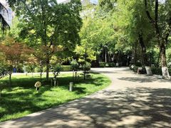 -莲湖公园
