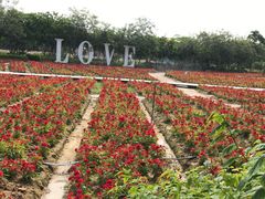 -广东花都香草世界旅游度假区