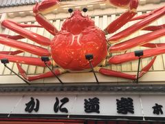 -蟹道乐(道顿堀本店)