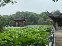 -丝绸小镇荻港古村