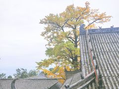 -金堂县云顶石城风景区