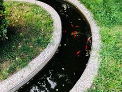 -卫鼎轩·曹公馆(鼓楼店)
