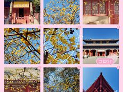 -西安大兴善寺
