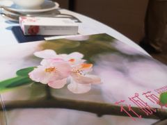 -花城苑广府菜(侨鑫店)