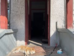 -常熟路(地铁站)